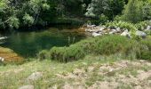 Tour Wandern Vialas - Mas de la barque source du Tarn - Photo 4