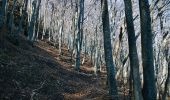 Tour Wandern Saou - Forêt de Saoû - Les Pomerolles - Photo 4