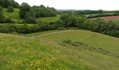 Percorso A piedi Somerset West and Taunton - Taunton Deane Circular Walk 1 - Photo 6