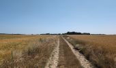 Percorso Marcia Reignac-sur-Indre - Reignac-sur-Indre - Cigogné - 15.6km 120m 4h10 (55mn) - 2025 06 18 - Photo 12