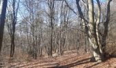 Tour Wandern Seraing - descente dans le bois de la vecquée - Photo 5