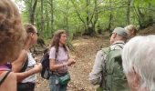 Trail Walking Agerola - les monts latari - Photo 6