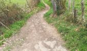 Trail Walking Pollionnay - Pollionay- Saint Bel - Lentilly  - Photo 8
