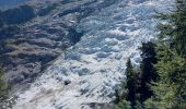 Trail Walking Chamonix-Mont-Blanc - Chalet des Pyramides 1895m 11.7.22 - Photo 11