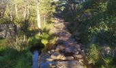 Tocht Stappen Unknown - preikestolen - Photo 8