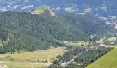 Trail Walking Mont-Dore - LE PUY DE SANCY PAR LE VAL DE COURRE ET LA TETE DE FLON  - Photo 7