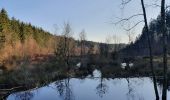 Tocht Stappen La Roche-en-Ardenne - rando samrée 26/11/2020 - Photo 8