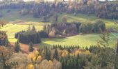 Tour Wandern Le Bélieu - Sous Reaumont - Bois banal  - Photo 3