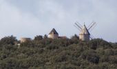 Trail Walking Faugères - Les Moulins de Faugères - Pic de Tantajo - Photo 2