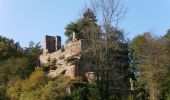 Trail On foot Frankenstein - Uni-Villa-Wanderweg - Photo 9