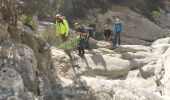 Trail Walking Ollioules - Destel azur  - Photo 20