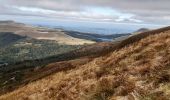 Excursión Senderismo Mont-Dore - massif est du Sancy - Photo 10