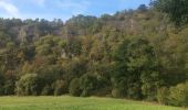 Tour Wandern Houyet - Houyet - A la découverte de la Lesse et des Aiguilles de Chaleux - Photo 4