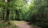 Tocht Stappen Notre-Dame-de-Bondeville - La bretêque-Isneauville-Houppeville - Photo 3