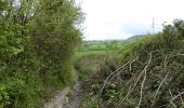 Percorso A piedi Somerset West and Taunton - Herepath Trail - Blagdon Hill - Photo 4