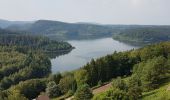 Excursión Senderismo Pierre-Percée - Lac de la Pierre-Percée - château de Salm - grotte des Poilus et l'observatoire - Photo 10