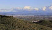 Percorso A piedi Poggio a Caiano - Sentiero CAI 1 - Sez. Prato - Photo 6