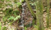 Trail Walking Vexaincourt - Le charme mystérieux du lac de la Maix - Photo 4