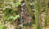 Tour Wandern Vexaincourt - Le charme mystérieux du lac de la Maix - Photo 4