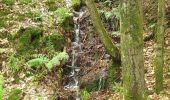 Excursión Senderismo Vexaincourt - Le charme mystérieux du lac de la Maix - Photo 4