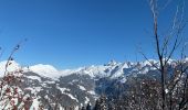 Percorso Racchette da neve Saint-Jean-de-Sixt - Le panorama du Danay (14) - Photo 18