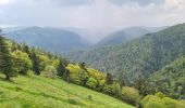 Trail Walking Stosswihr - Honeck depuis Gaschney - Photo 2