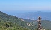 Trail Walking Moca-Croce - mont San petru - Photo 7