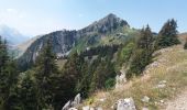 Tour Wandern Fillière - GLIERES: MONUMENT - COL DE L'OVINE - CHALET DE L'OVINE - CHALETS DES AUGES - Photo 6