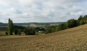 Trail Walking Penne-d'Agenais - La randonnée de Penne d'agenais- Lot et Garonne  - Photo 3
