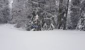 Trail Cross-country skiing Mijoux - puthod - Photo 3
