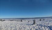 Randonnée Ski de fond Waimes - Les trois boucles des hautes fagnes - Photo 1