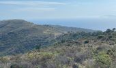 Tour Wandern Roses - Plat des gâtte depuis le dolmen (aller simple) - Photo 4