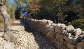 Randonnée Marche Lagnes - Mur de la peste en partant de Lagnes - Photo 3