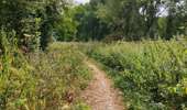 Trail Walking Brunehaut - Circuit de la coupure de Bléharies   - Photo 16