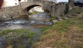 Randonnée Marche Blesle - Les orgues de Chadecol - BLESLE - Photo 9