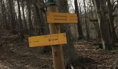 Excursión Senderismo Céret - Fontfrede -pic des salines par el coll de pois de neu - Photo 2