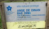 Trail Walking Crozon - J7 Chateau Dinan  - Photo 7