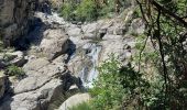 Tocht Stappen Pourcharesses - au coeur des gorges du chassezac au départ de Villefort  - Photo 7