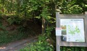 Excursión Bici eléctrica Ronse - Renaix - bois Louise Marie - par sentiers - Photo 2