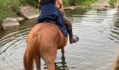 Trail Horseback riding Reherrey - Randonnée reherey Marion uccello - Photo 9