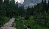 Tocht Stappen Villnöß - Funes - Puez Geisler - Gampenalm - Photo 3