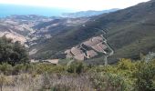 Percorso Marcia Collioure - Tour de Madeloc par les cols 15 km 741 m D+ - Photo 6