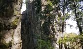 Randonnée Marche Bellefosse - Col de la Charbonnière - château de la Roche - Bellefosse - Belmont - Photo 11