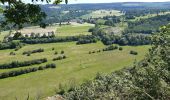 Tour Wandern Stoumont - stoumont . corniche - congo . chateau froidcourt . ambleve . stoumont - Photo 14