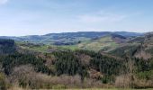 Trail Walking Chambost-Allières - Chambost avec forêt des expériences et belvédère - Photo 11