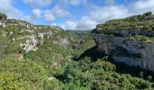 Trail Walking Minerve - Gorges de Minerve  - Photo 13