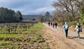 Percorso Marcia Carcès - De Carcès à Montfort sur Argens - Photo 12