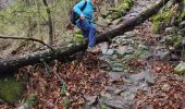 Tocht Stappen Prévenchères -  Gorges de Chassezac - Photo 6