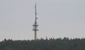 Tour Zu Fuß Gemünden am Main - Rote Schnepfe, Zollberg-Langeprozelten - Photo 2