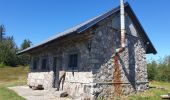 Tour Wandern Markirch - Col des Bagenelles et les deux Brézouard - Photo 15